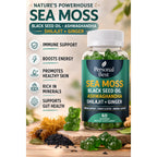 Sea Moss - All in one Gummies