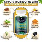 Sea moss and ashwagandha wellness gummies by Personal Best